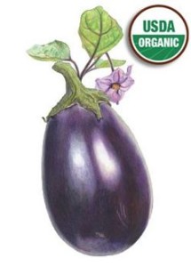 In the St. Louis area eggplant can be planted outdoors in late May.