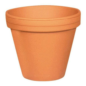 Terra cotta plant pot