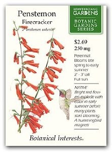 In the St. Louis area Penstemon can be planted outdoors in mid-March.
