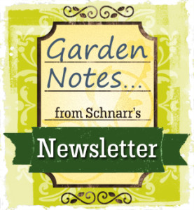 Garden Notes from Schnarr's Newsletter