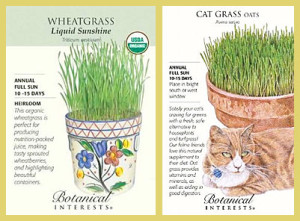 Wheat Grass and Oat Grass seed packets