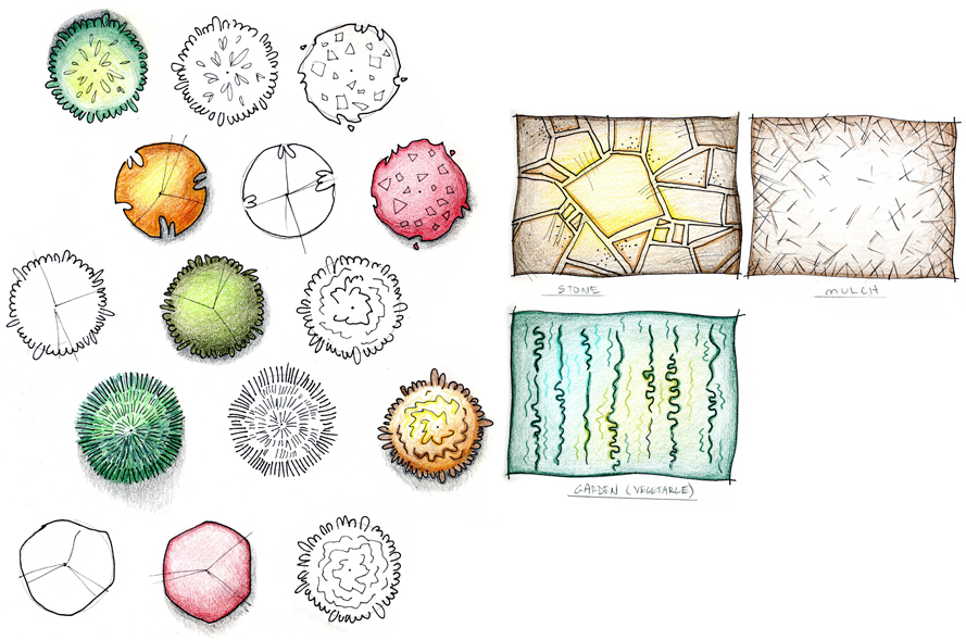 Practice coloring symbols and surfaces for landscape design.